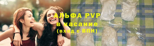 mdpv Богданович