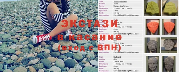 СК Богородицк