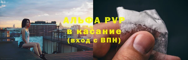 СК Богородицк