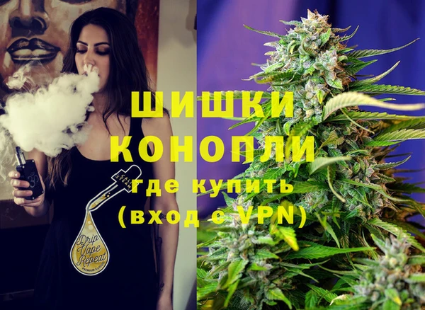 mdpv Богданович