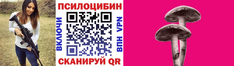 сколько стоит  Ильский  Галлюциногенные грибы Psilocybe 
